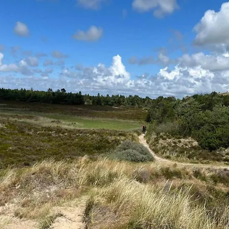 6 Person In Romo-by Traum *