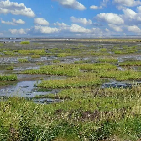 6 Person In Romo-by Traum Сasa de vacaciones Toftum (Syddanmark)