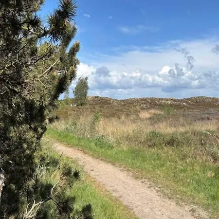 6 Person In Romo-by Traum