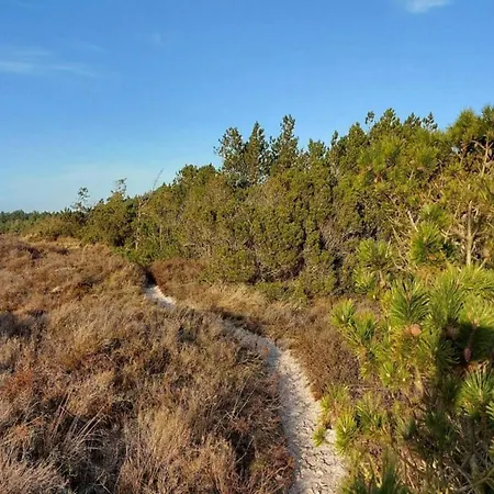 Сasa de vacaciones 6 Person In Romo-by Traum